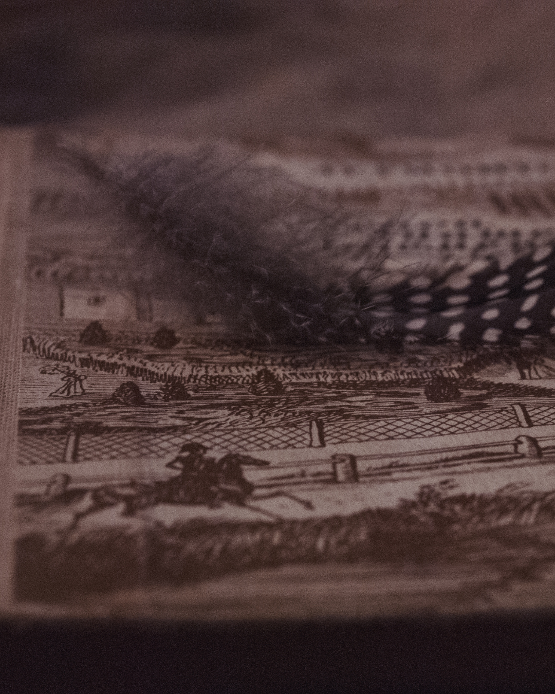 இலக்கியம்