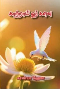 காற்றாய் ஓர் களவு